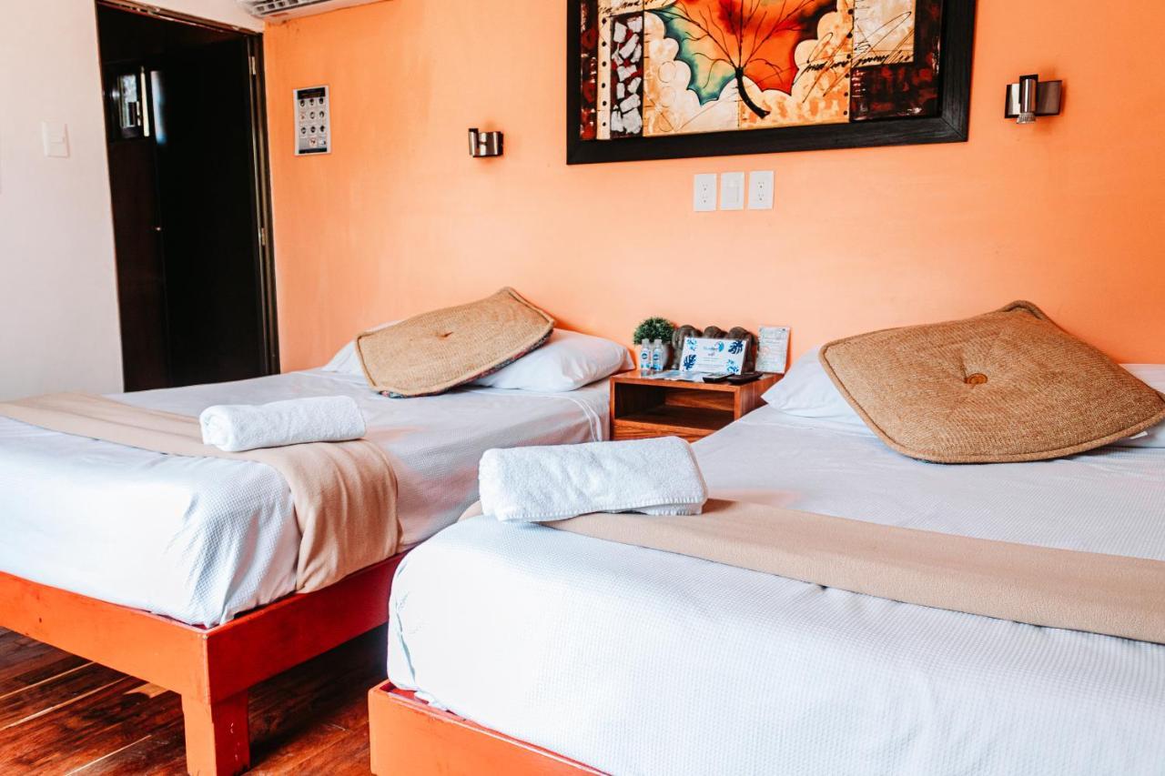 Blue Bird Hotell Bacalar Rom bilde