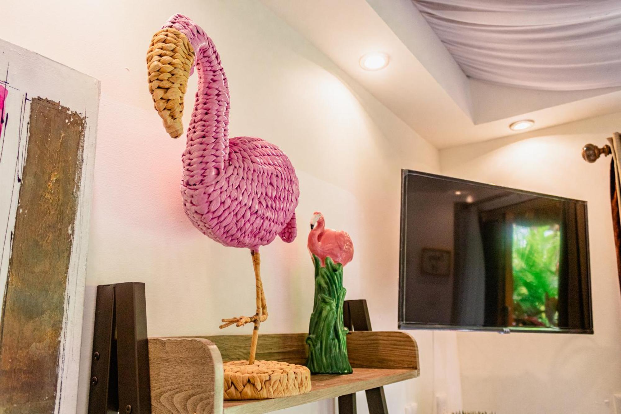 Blue Bird Hotell Bacalar Rom bilde