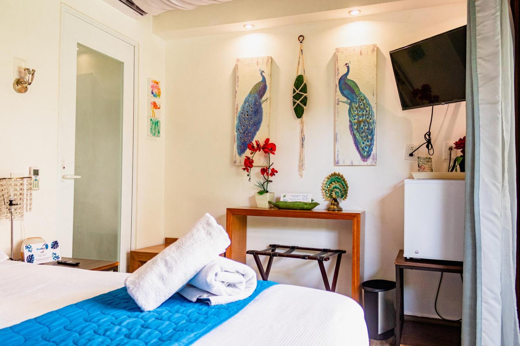 Blue Bird Hotell Bacalar Rom bilde