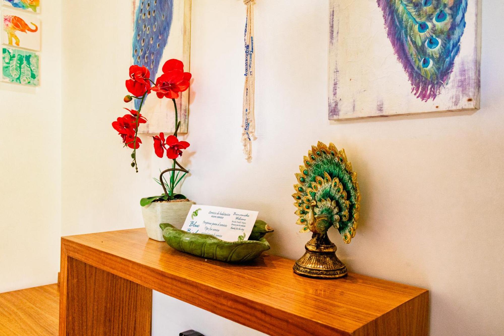 Blue Bird Hotell Bacalar Rom bilde