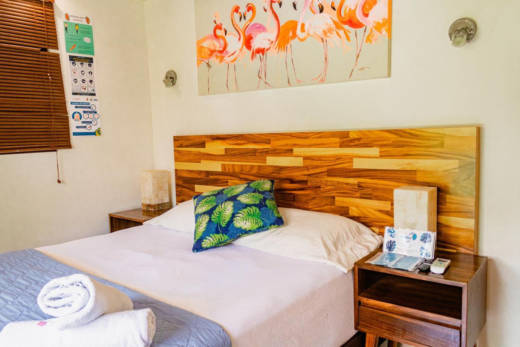 Blue Bird Hotell Bacalar Rom bilde
